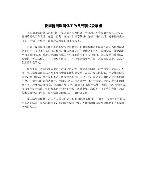 我国精细硫磷化工的发展现状及展望
