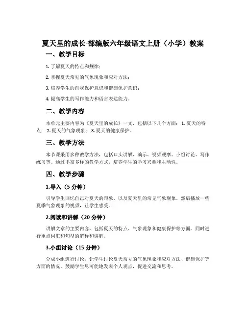 夏天里的成长-部编版六年级语文上册(小学)教案