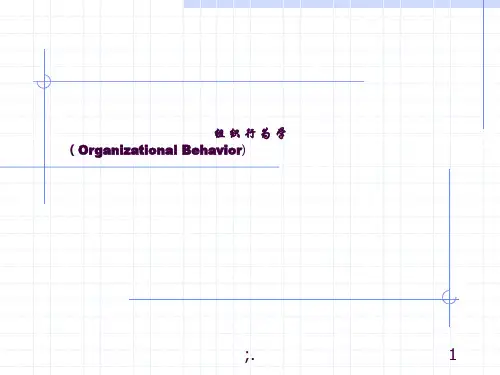 组织行为学全套ppt课件