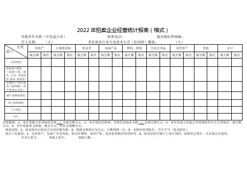 2022年拍卖企业经营统计报表(格式)