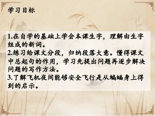 部编版四年级上册语文6夜间飞行的秘密课件67页.pptx