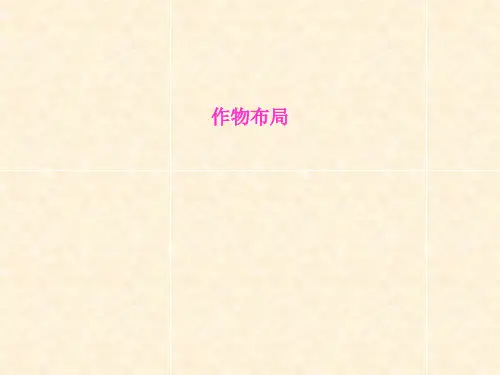 作物布局PPT课件
