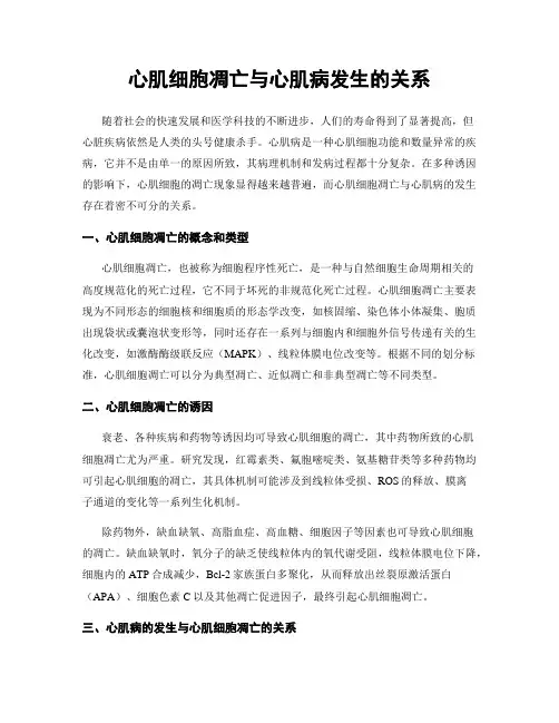 心肌细胞凋亡与心肌病发生的关系