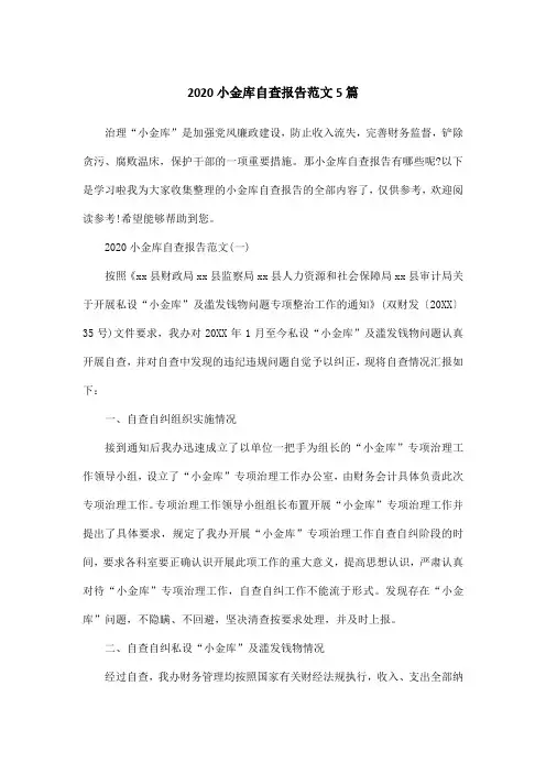 2020小金库自查报告范文5篇