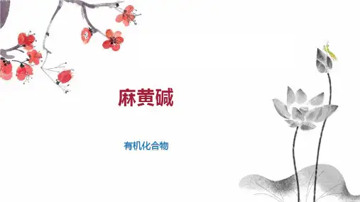 麻黄碱    