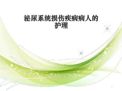 泌尿系统损伤疾病病人的护理PPT课件
