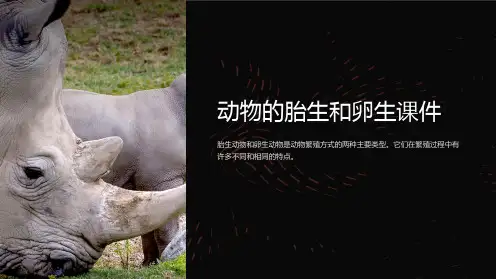 动物的胎生和卵生课件