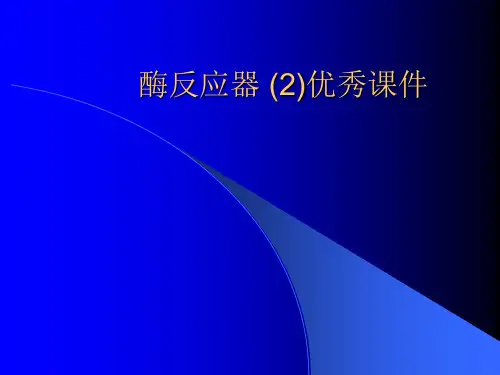 酶反应器 (2)优秀课件