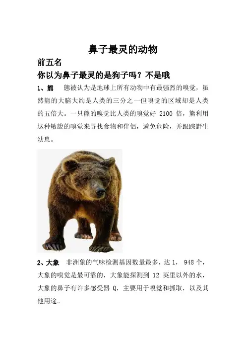 鼻子最灵的动物