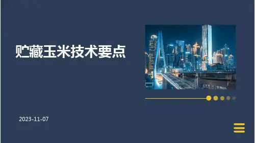 贮藏玉米技术要点