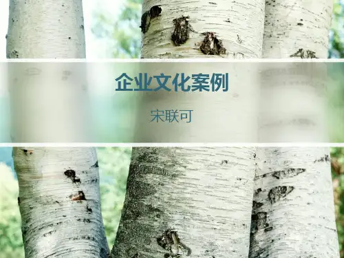 企业文化案例