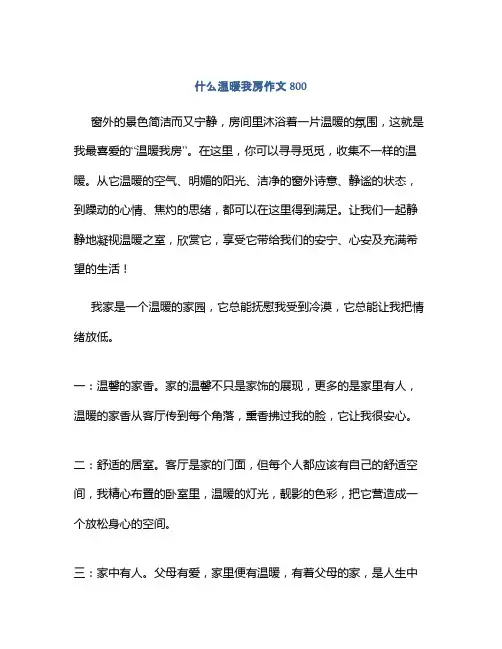 什么温暖我房作文800