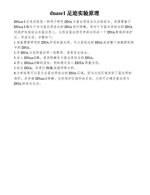 dnase1足迹实验原理