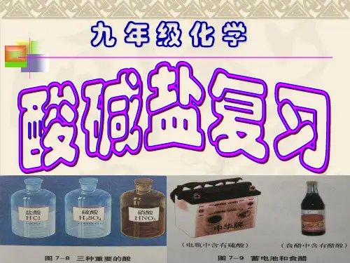 人教版九年级化学中考总复习酸碱盐总复习PPT课件