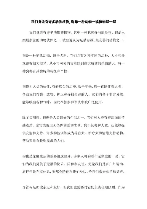 我们身边有许多动物植物,选择一种动物一或植物写一写