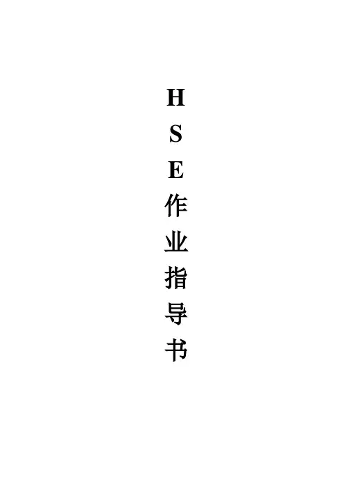 HSE作业指导书.