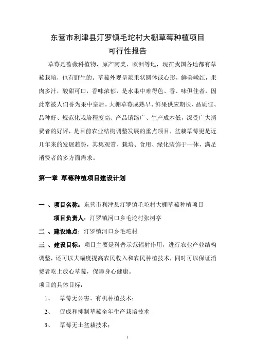 东营市利津县汀罗镇大棚草莓种植项目可行性报告