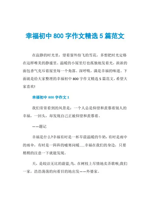 幸福初中800字作文精选5篇范文