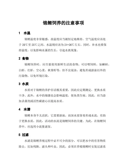 锦鲤饲养的注意事项