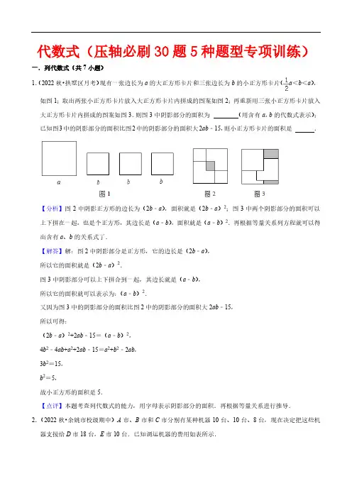 代数式(压轴必刷30题5种题型专项训练)(解析版)
