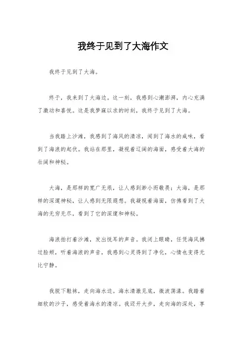 我终于见到了大海作文