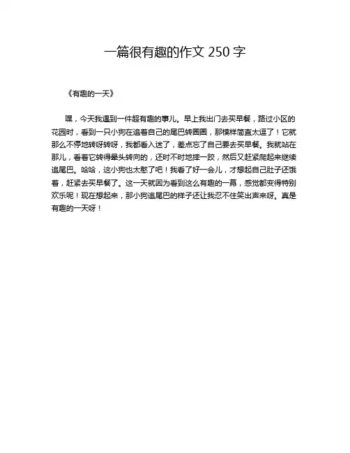 篇很有趣的作文250字