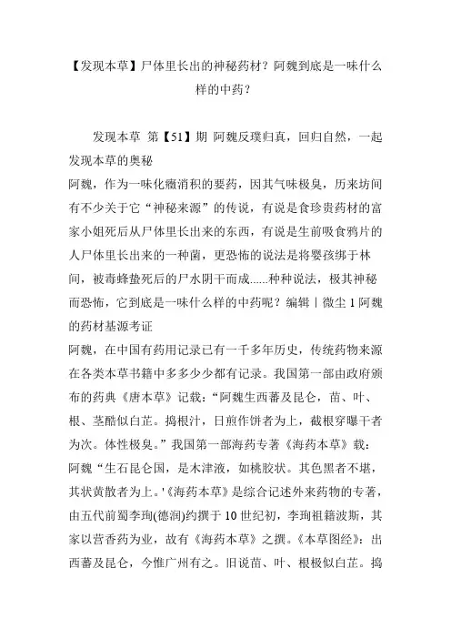 【发现本草】尸体里长出的神秘药材？阿魏到底是一味什么样的中药？