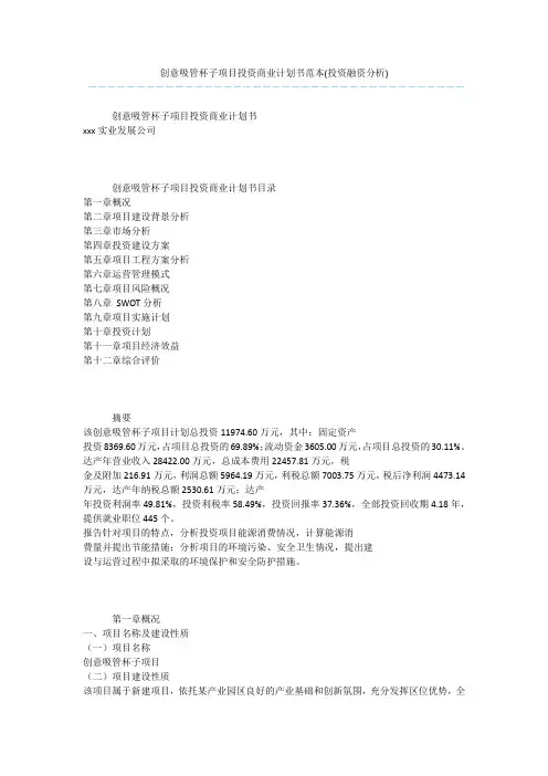 创意吸管杯子项目投资商业计划书范本(投资融资分析)