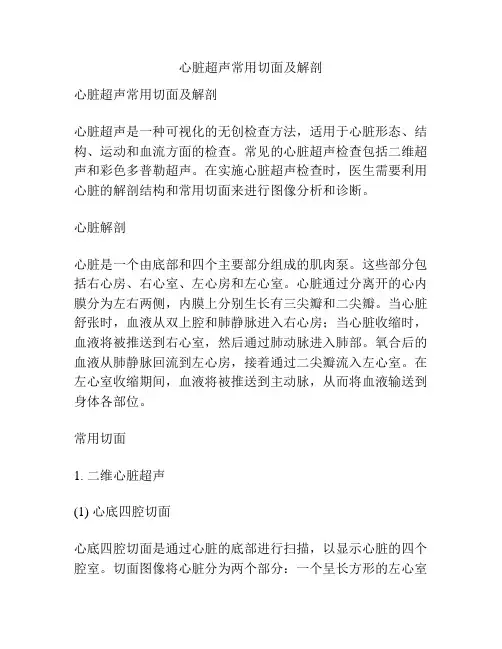 心脏超声常用切面及解剖