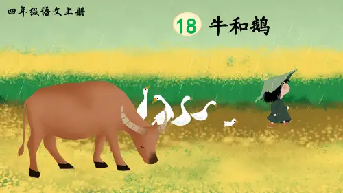 《牛和鹅》精品课件(第一课时)