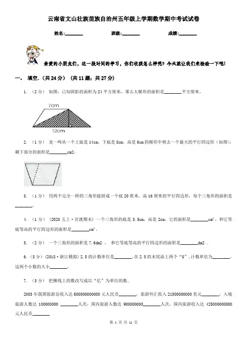 云南省文山壮族苗族自治州五年级上学期数学期中考试试卷