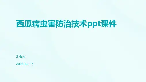 西瓜病虫害防治技术课件