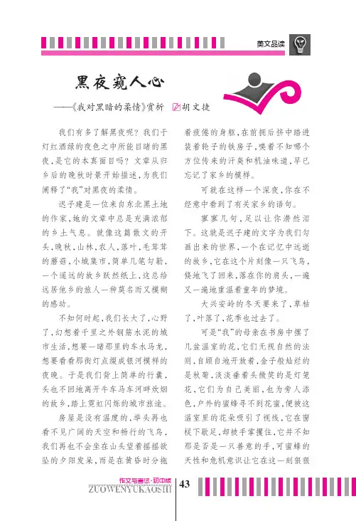 黑夜窥人心——《我对黑暗的柔情》赏析