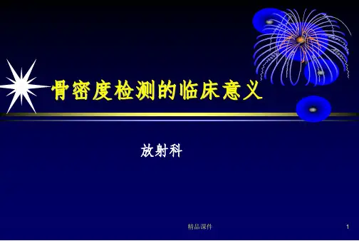 骨密度检测的临床意义ppt课件