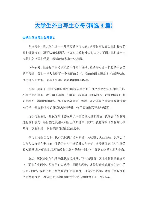 大学生外出写生心得(精选4篇)