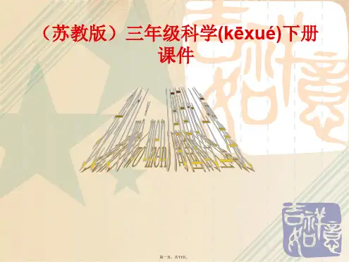 小学三年级科学下册课件《我们周围的土壤》课件