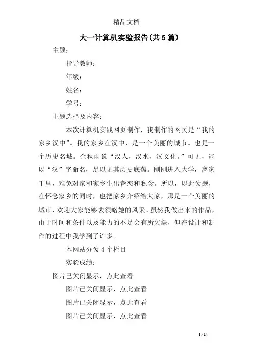 大一计算机实验报告（共5篇）_0