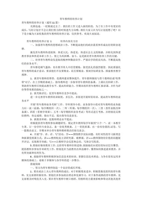 青年教师的培养计划