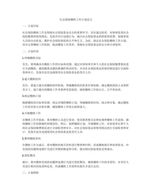 社会保险稽核工作计划范文
