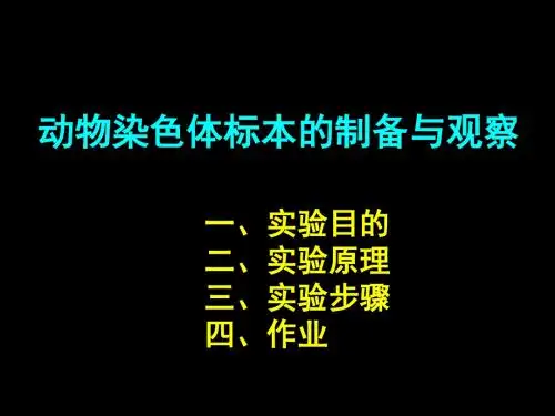 实验七动物染色体标本的制备与观察