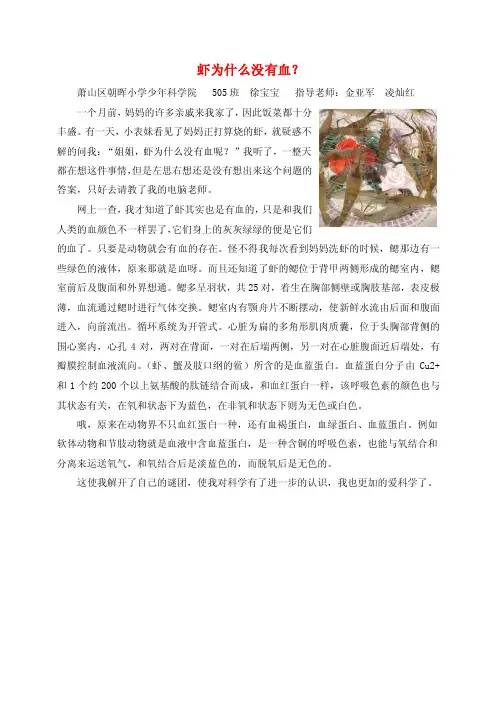 虾为什么没有血-浙江小学科学网首页