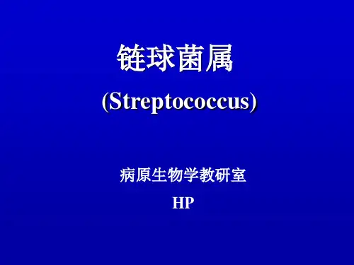 9-链球菌属