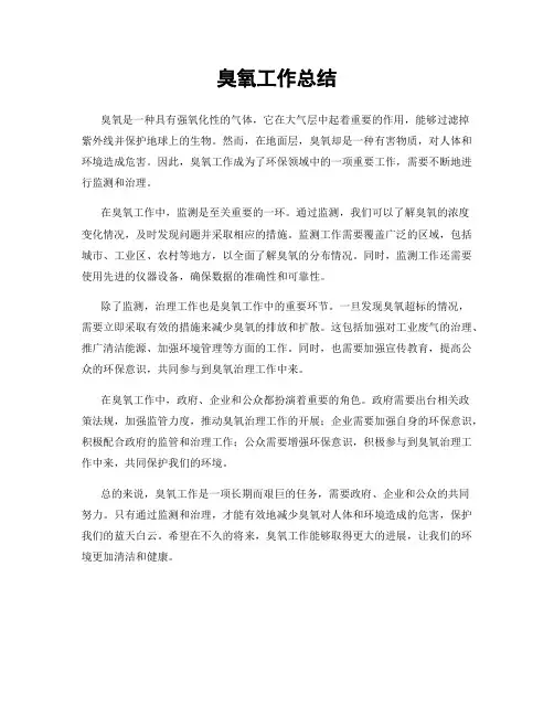 臭氧工作总结