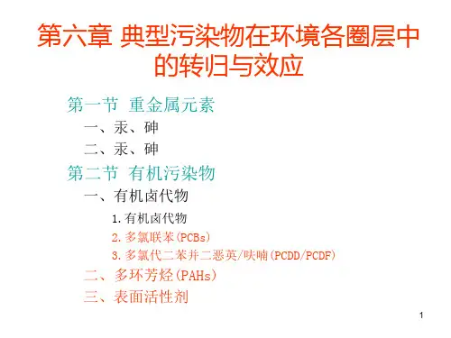 典型污染物在环境各圈层中的转归与效应课件