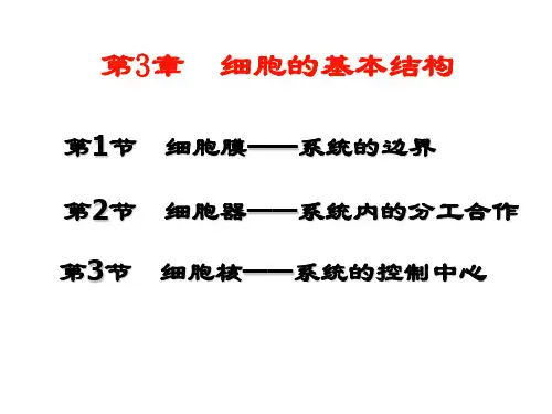 细胞的基本结构--细胞器