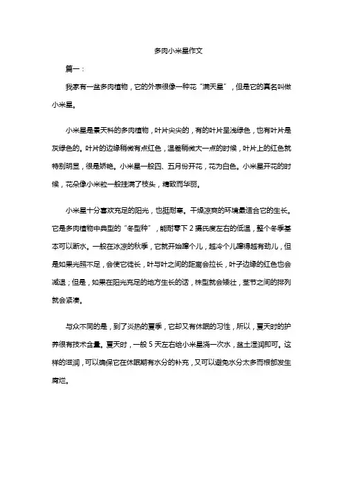 多肉小米星作文