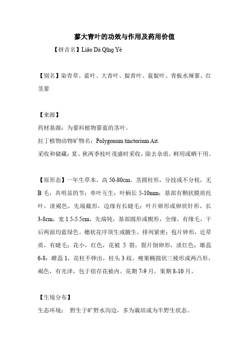 蓼大青叶的功效与作用及药用价值