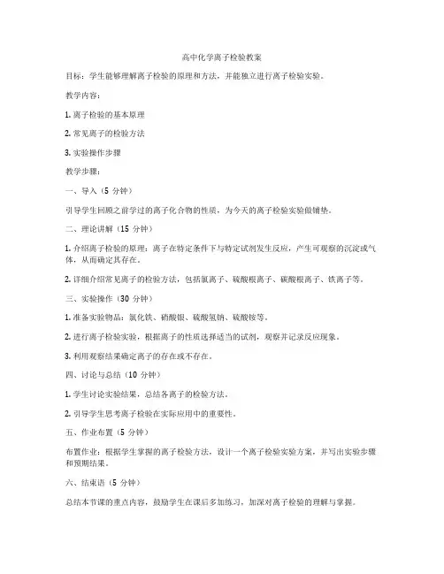 高中化学离子检验教案