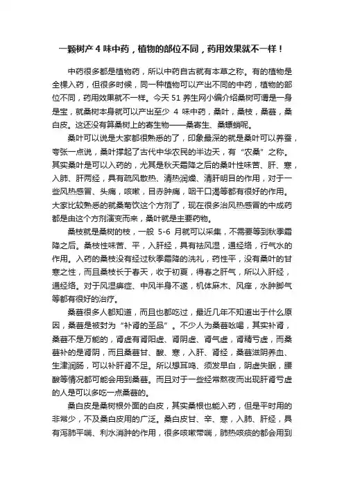 一颗树产4味中药，植物的部位不同，药用效果就不一样！