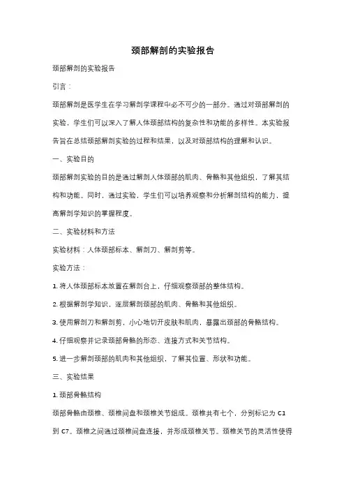 颈部解剖的实验报告